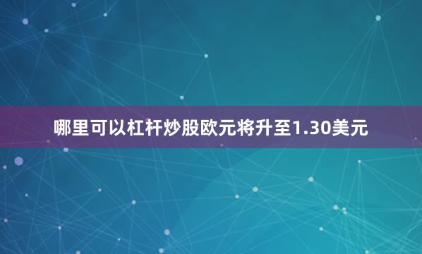 哪里可以杠杆炒股欧元将升至1.30美元