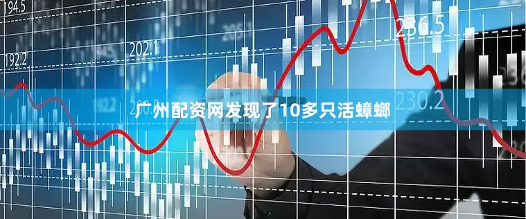广州配资网发现了10多只活蟑螂