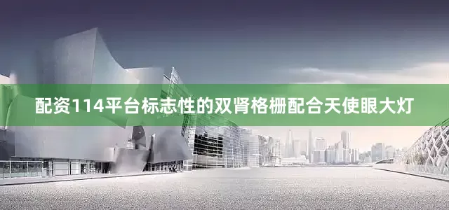 配资114平台标志性的双肾格栅配合天使眼大灯