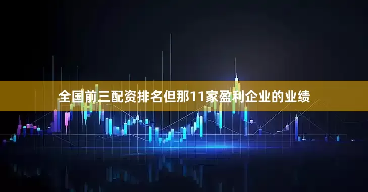 全国前三配资排名但那11家盈利企业的业绩
