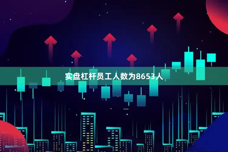 实盘杠杆员工人数为8653人