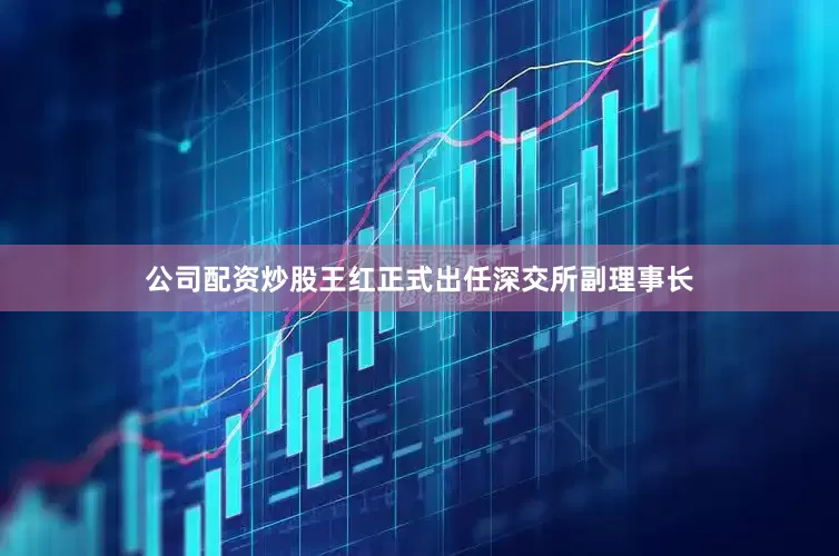 公司配资炒股王红正式出任深交所副理事长